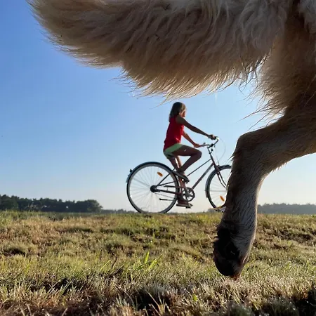 Landdomizil Zeissig Lejlighed