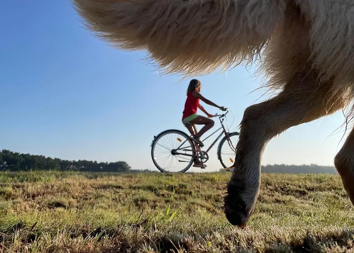 Landdomizil Zeissig Lägenhet